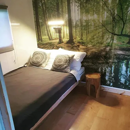 Losiowka Nad Sapina * Pozezdrze