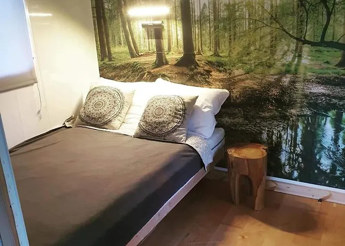 Losiowka Nad Sapina * Pozezdrze