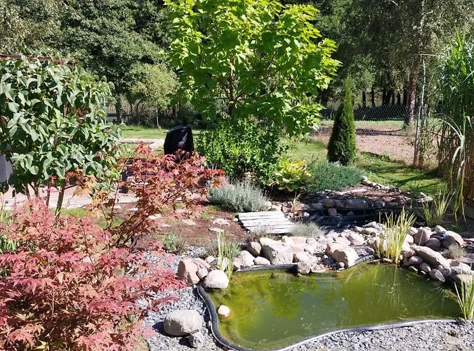 Losiowka Nad Sapina Pozezdrze